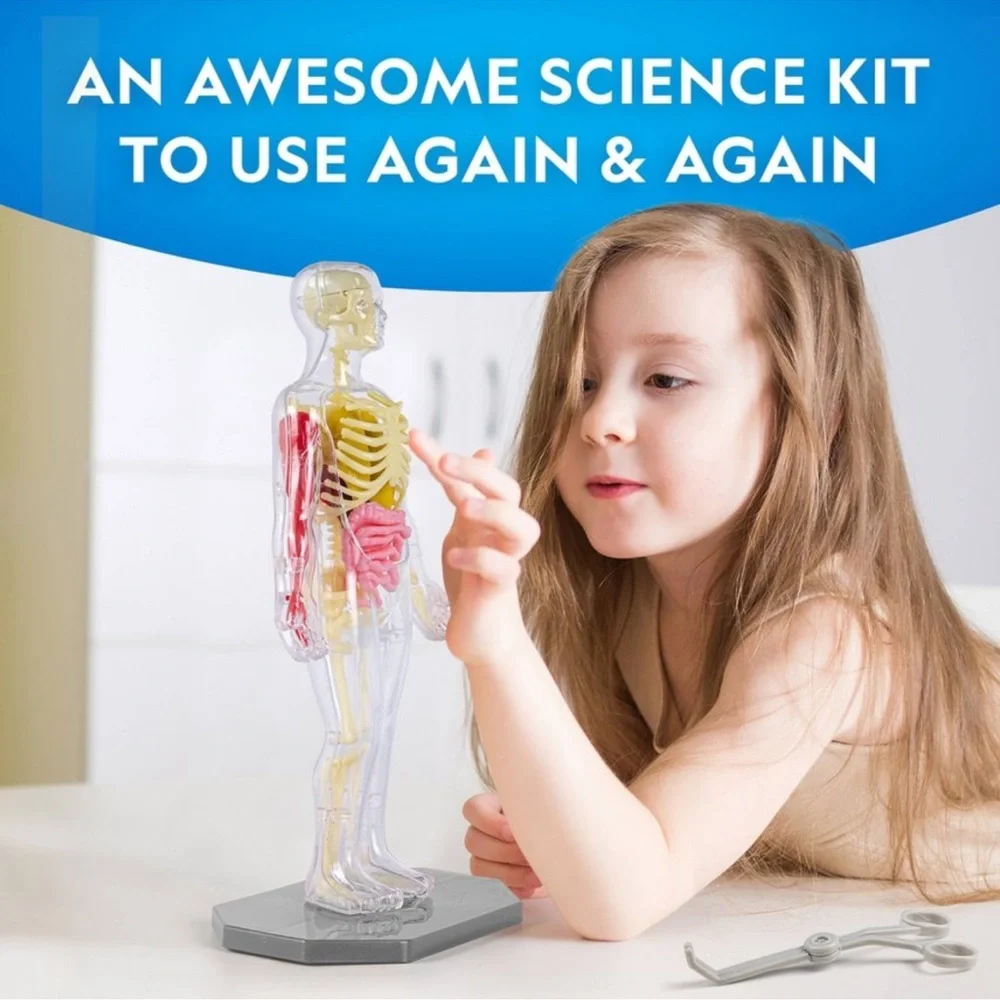 National Geographic Glow-In-The-Dark Human Body: Science Kit & Activity Guide